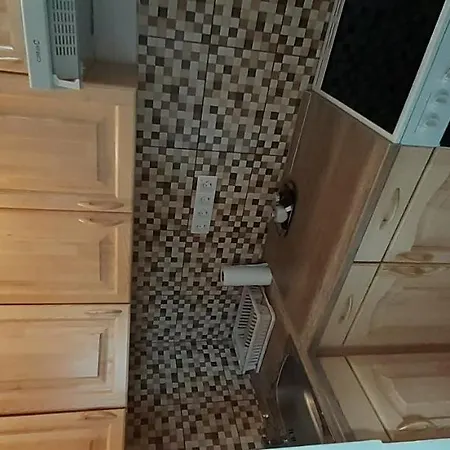 公寓 Natalia Vendeghaz 鲍洛托瑙考利