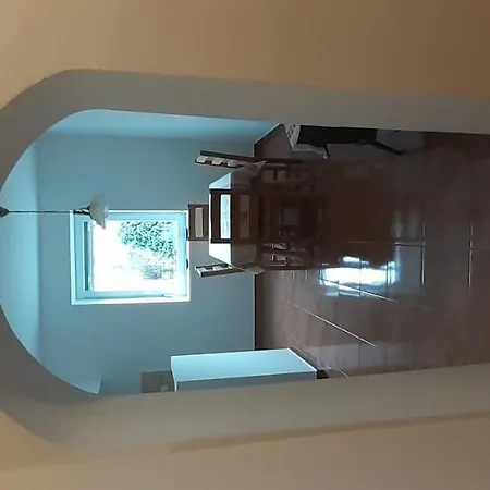 Natalia Vendeghaz 鲍洛托瑙考利