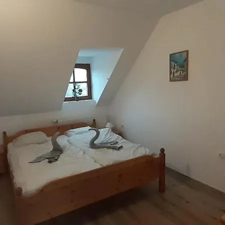 Natalia Vendeghaz 鲍洛托瑙考利