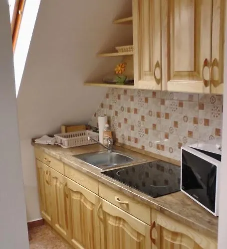 Natalia Vendeghaz *